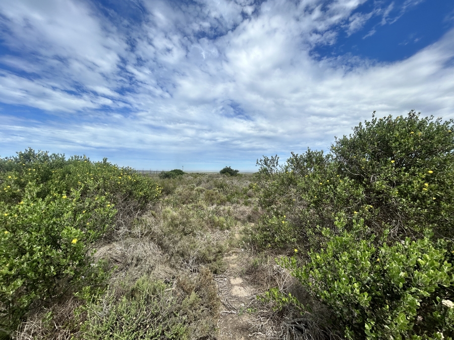 Commercial Property for Sale in Fountains Estate Eastern Cape